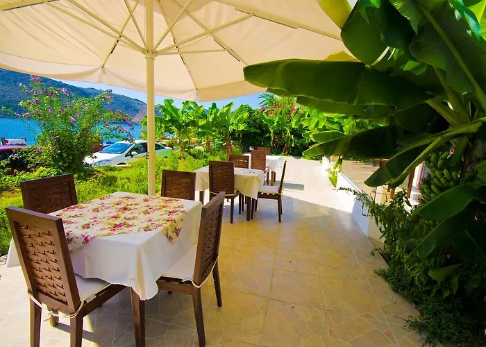 호텔 Dinc 보즈부른